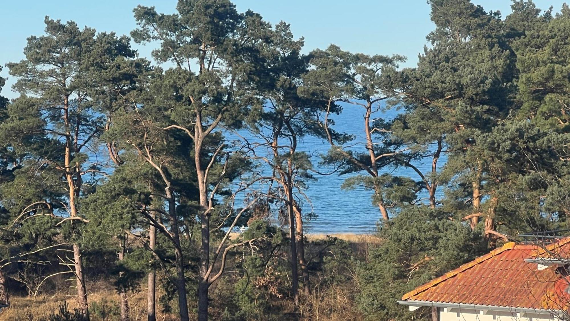 Appartement Meeresrauschen Baabe Zewnętrze zdjęcie